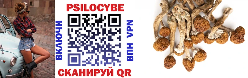 Псилоцибиновые грибы Psilocybe  продажа наркотиков  OMG как зайти  Кубинка 